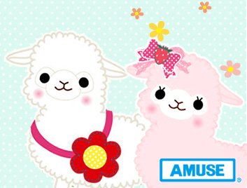 AMUSE Japan Alpacas